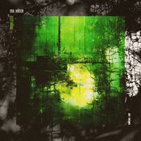 Mr. Käfer - Paralized
