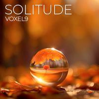 Voxel9 - Solitude