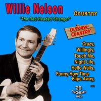 Willie Nelson - Willie Nelson "Progressive and Outlaw Country" 20 Successes (1962)