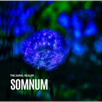 The Aural Healer - Somnum
