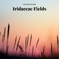 Iridaceae Fields - Talking Winds