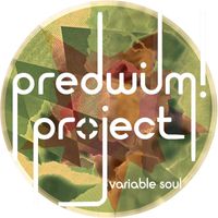 PredWilM! Project - Variable Soul