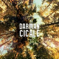 Darman - Cicale