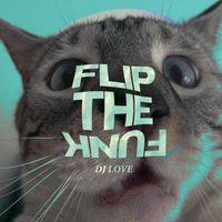 DJ Love - Flip The Funk