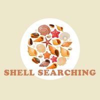 Coastal - Shell Searching