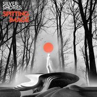 Silver Shores - Spitting Image