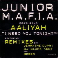 Junior M.A.F.I.A. - I Need You Tonight Remixes (Explicit)