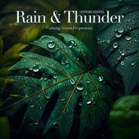 Stefan Zintel - Rain & Thunder (Calming Green Frequencies)