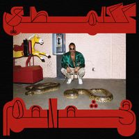 Shabazz Palaces - Robed in Rareness (Explicit)