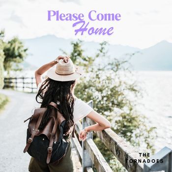 The Tornadoes - Please Come Home