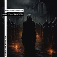 Matthias Springer - Dark Figures Entropy