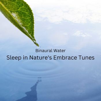 Binaural Systems, Nature Sleep, State of Distraction - Binaural Water: Sleep in Nature's Embrace Tunes