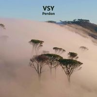 VSY - Perdón (2023 Re-Edit)