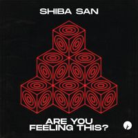 Shiba San - Are You Feeling This? / Stay Focused