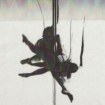 XINA - pheromones (Explicit)