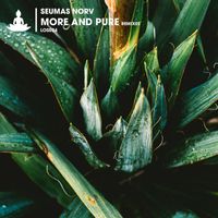Seumas Norv - More and Pure (Remixes)