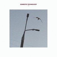 Domestic Technology - Oli