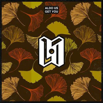Aldo Us - Get You
