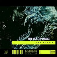 Any Wonder - Pull Back Stop Enhance