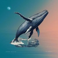 Al Bongo - Among Whales