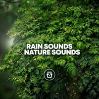 Nature Therapy - Rain Sounds & Nature Sounds