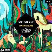 Second Sine - Coming Home