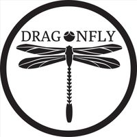 Dragonfly - Into the Sun