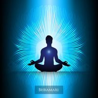 Bhramari - Total Zen