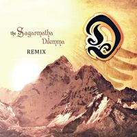 D Project - Sagarmatha Dilemma (Remix)