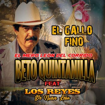 Beto Quintanilla - El Gallo Fino (Acústico)