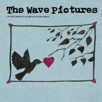 The Wave Pictures - If You Leave It Alone
