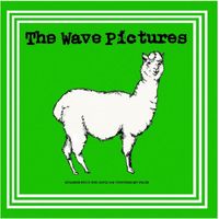 The Wave Pictures - Strange Fruit For David