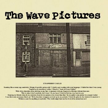 The Wave Pictures - Strawberry Cables