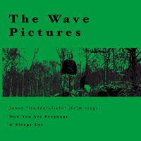 The Wave Pictures - Jonny Helm Sings