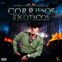 Chicho Castro y Sus Alia2 - Corridos Exóticos