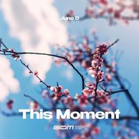 Juno D - This Moment (Extended Mix)