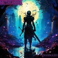 NetRunner - Entangled