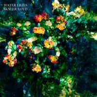 Skyler Loyd - Water Lilies