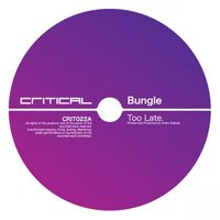 Bungle - Too Late / Human Poison