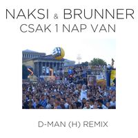 Naksi & Brunner - Csak 1 nap van (D-Man H Remix)