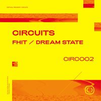 Circuits - FHIT / Dream State (Explicit)