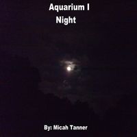 Aquarium - Aquarium I: Night