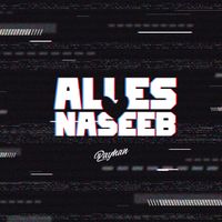 Payman - ALLES NASEEB