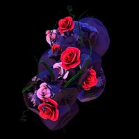 Hyroglifics - Stone Rose EP