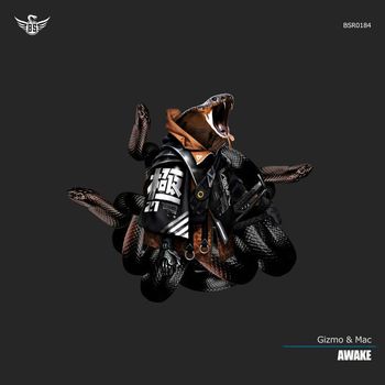 Gizmo & Mac - Awake