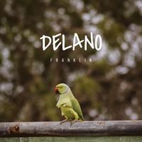 Franklin - Delano