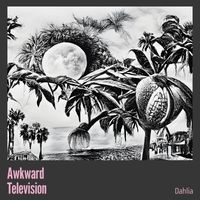 Dahlia - Awkward Television