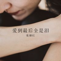 张继红 - 爱到最后全是泪 (舞曲版)