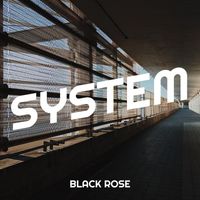 Black Rose - System