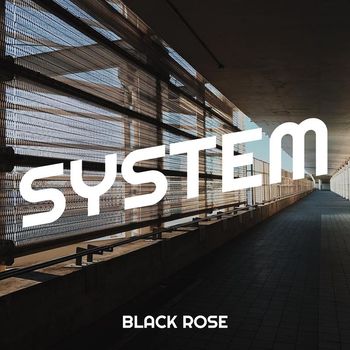 BLACK ROSE - System